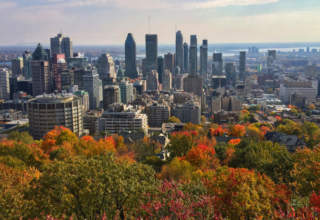 école pivaut Montréal